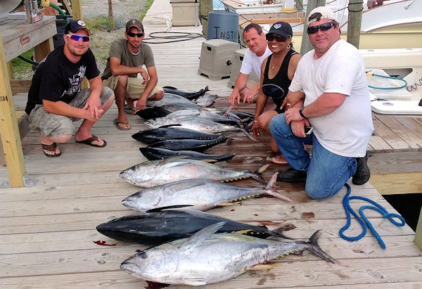 Offshore catch Of Tuna on Dock