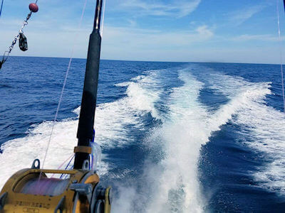 Transom view on trip offshore.