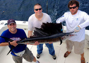 Summer sailfish on a offshore makeup charter.