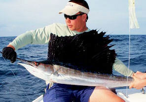 Hatteras NC, sailfish caught offshore