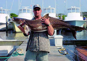 Man holding a nice Outer Banks cobia on a dock.