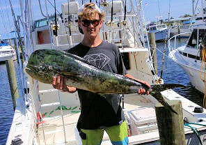 Big Outer Banks Mahi caught charter fishing offshore.