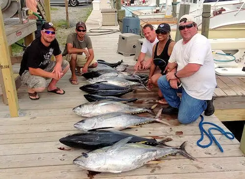 Fall offshore charter catch of Bluefin tuna on Dock.